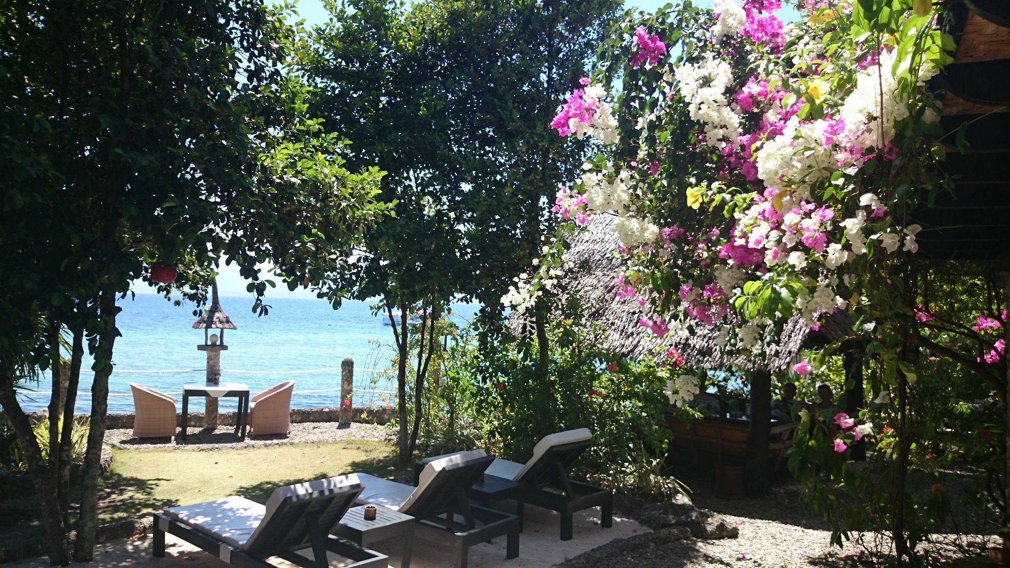 Dolphin House Resort Moalboal