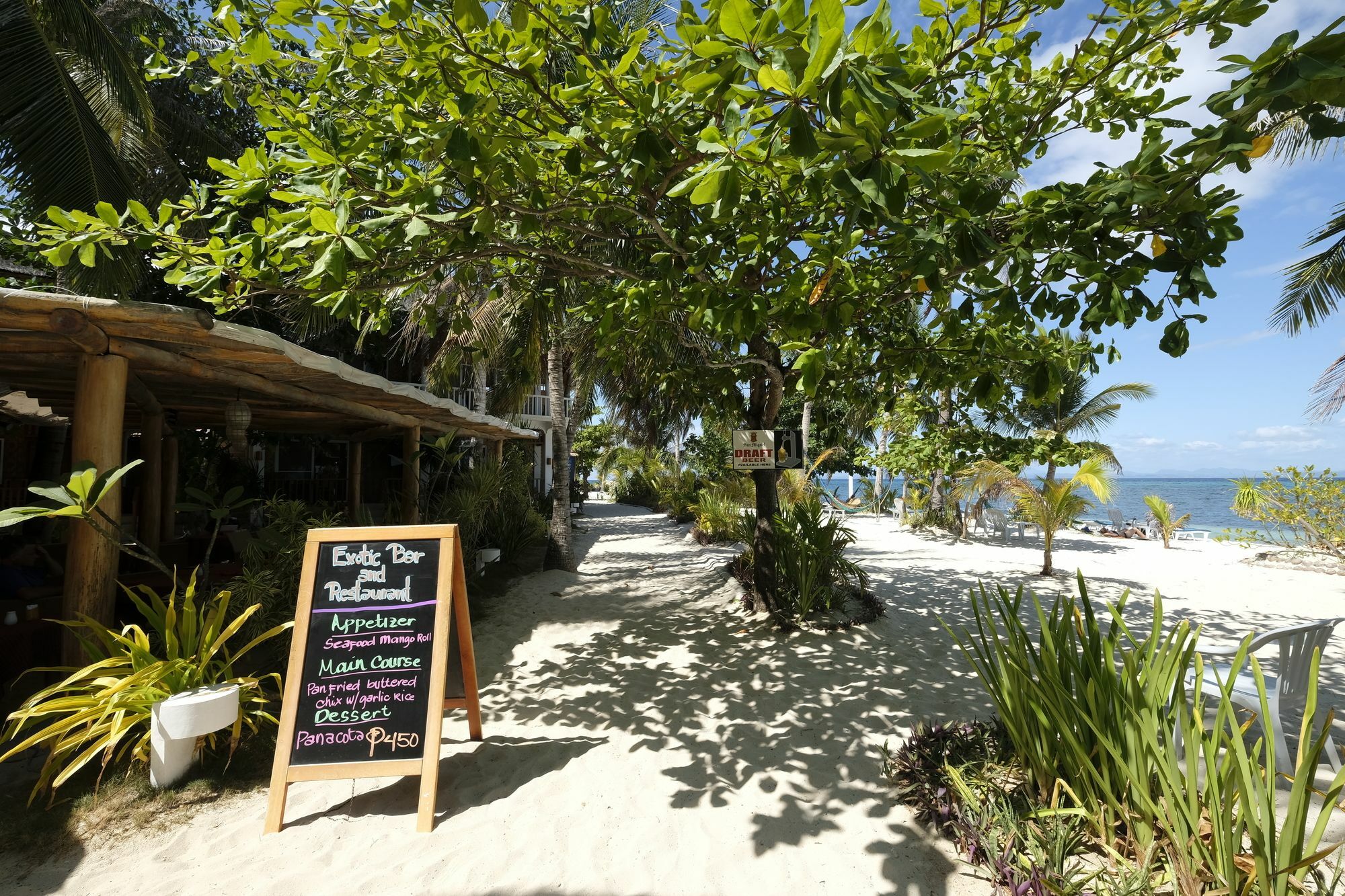 Exotic Island Dive & Logon