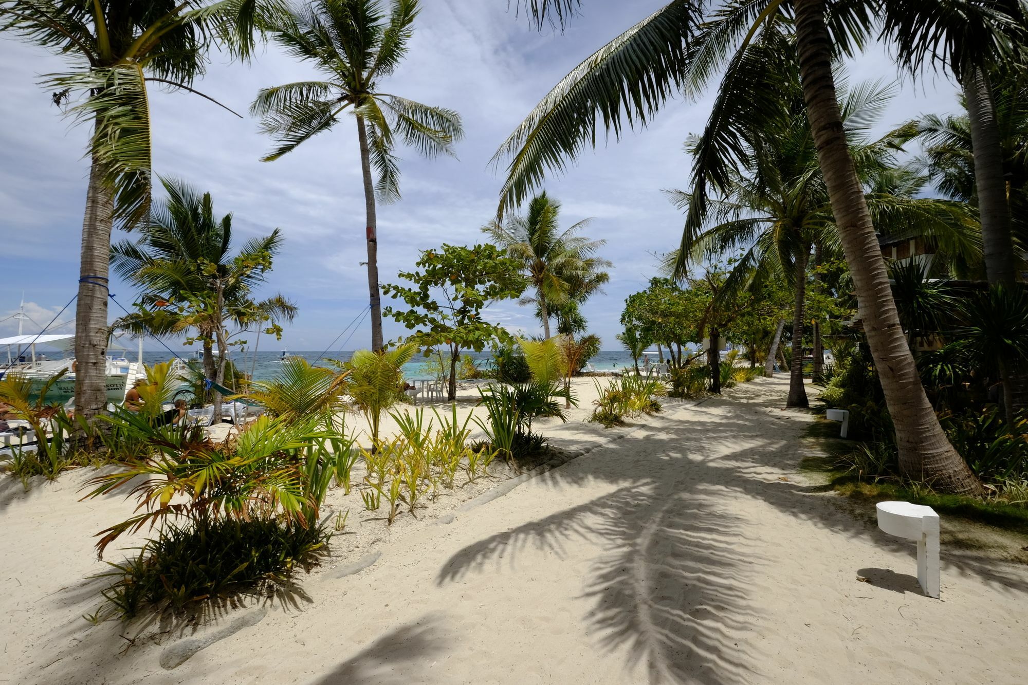 Exotic Island Dive &