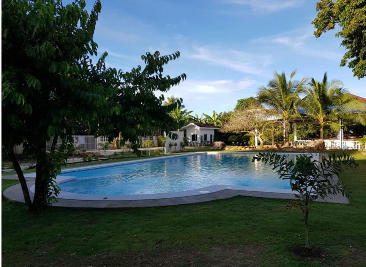 Bed & Breakfast Seaview 3*