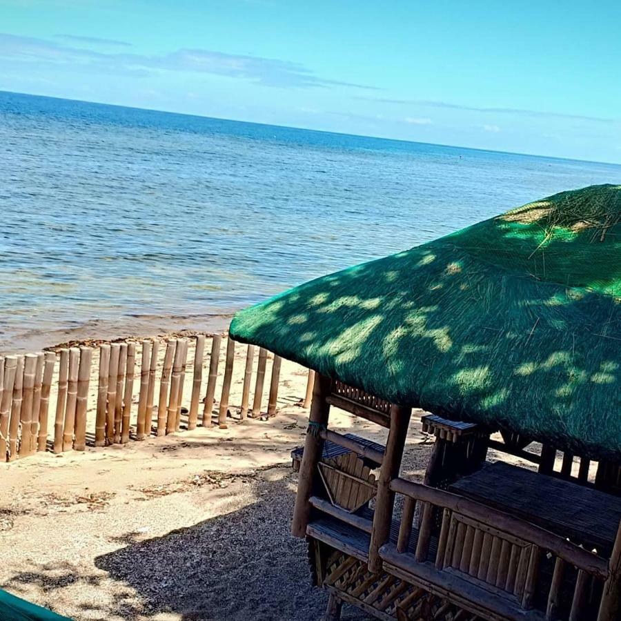Campsite Camp Tent In Cebu Liloan