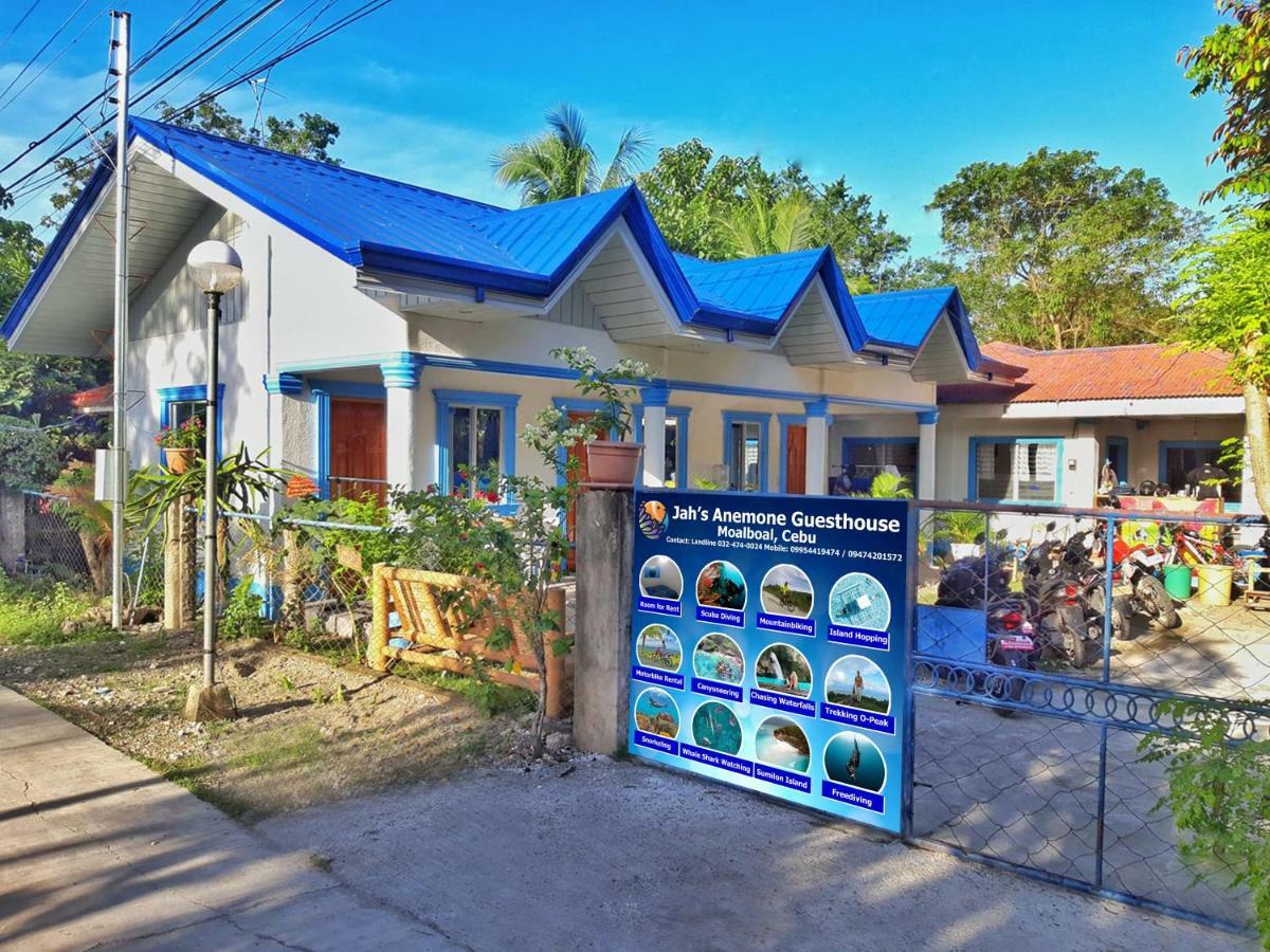 Jah's Anemone Dive Apartment