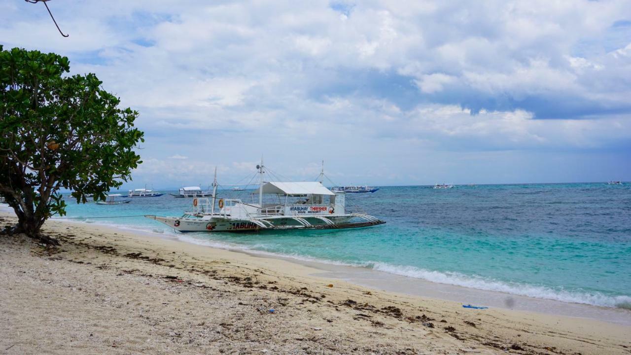 Resort Mabuhay Thresher Dive Logon