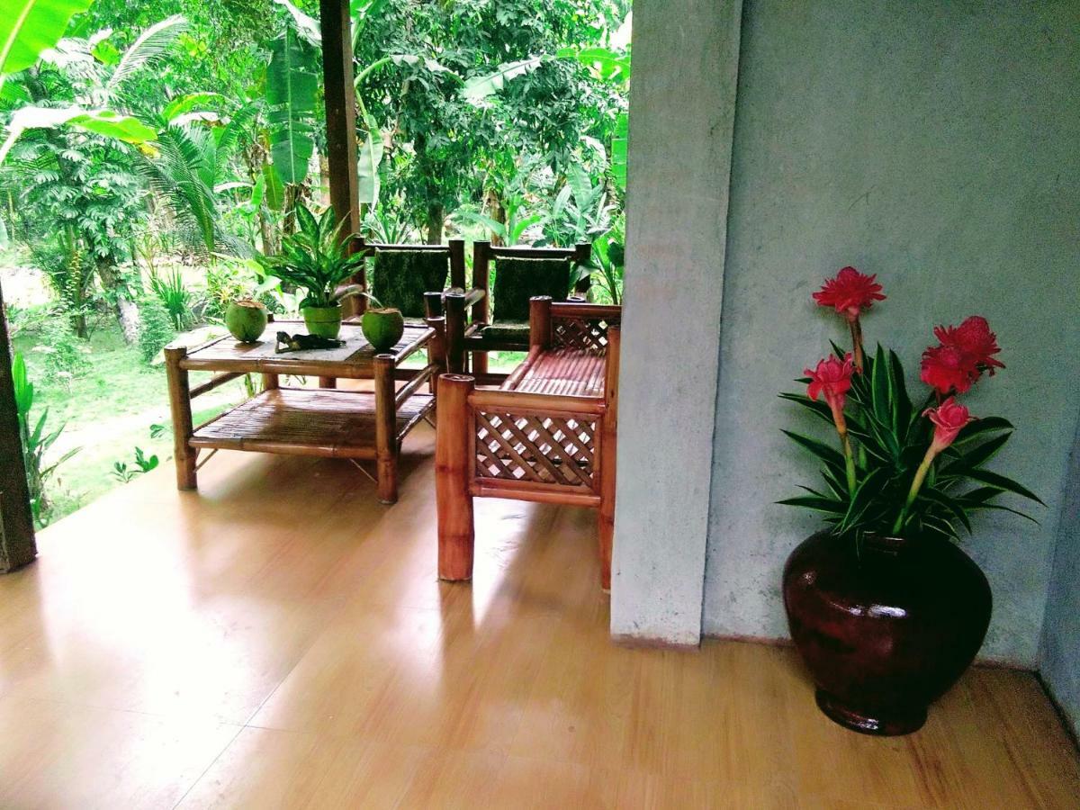 House Banaba Tree Samboan