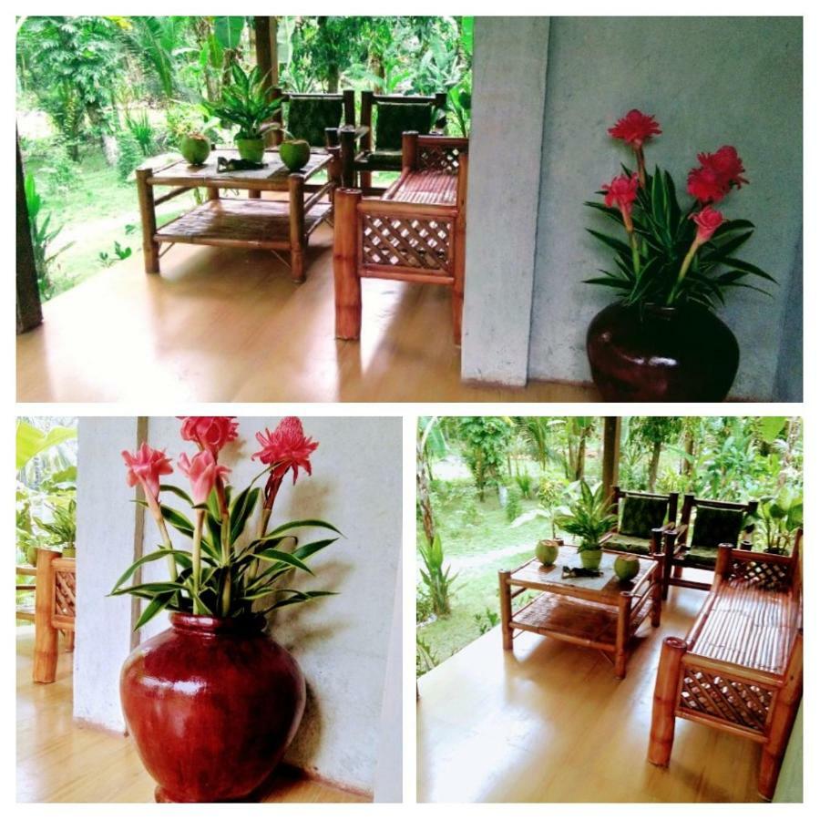 House Banaba Tree Bahay bakasyunan Samboan