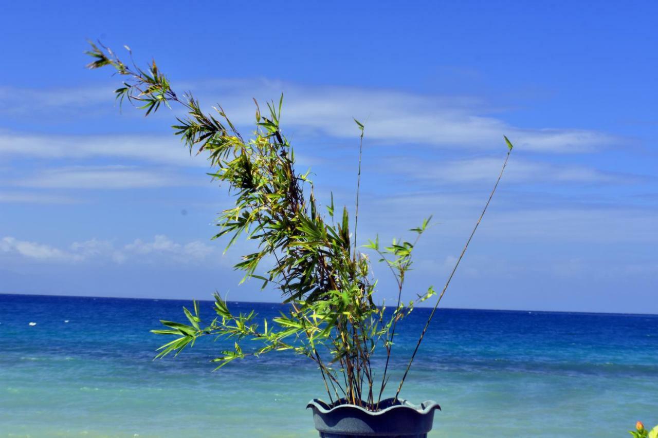 Mlk Bamboo Beachhouse Alegria (Cebu)