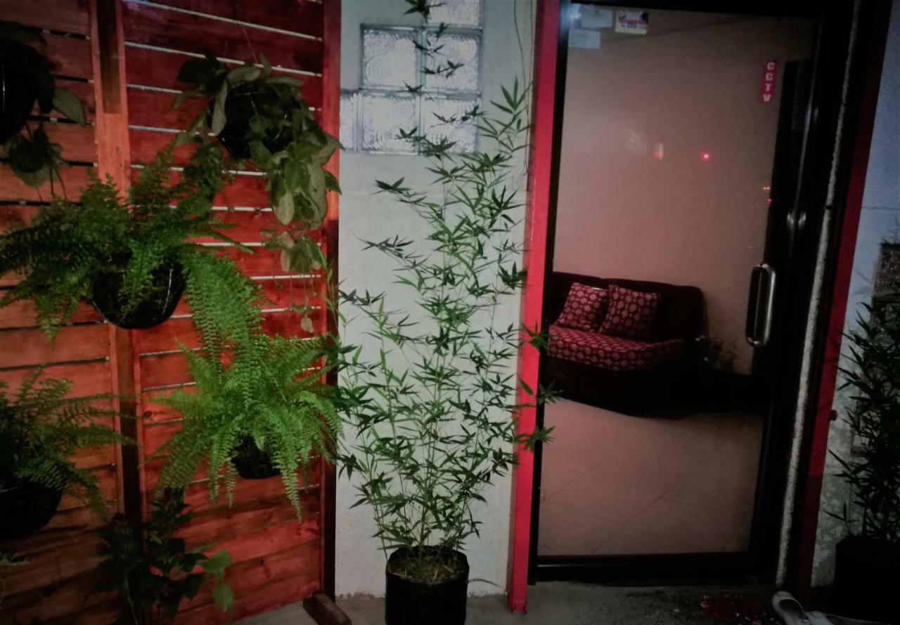 Hostel 8th Street *