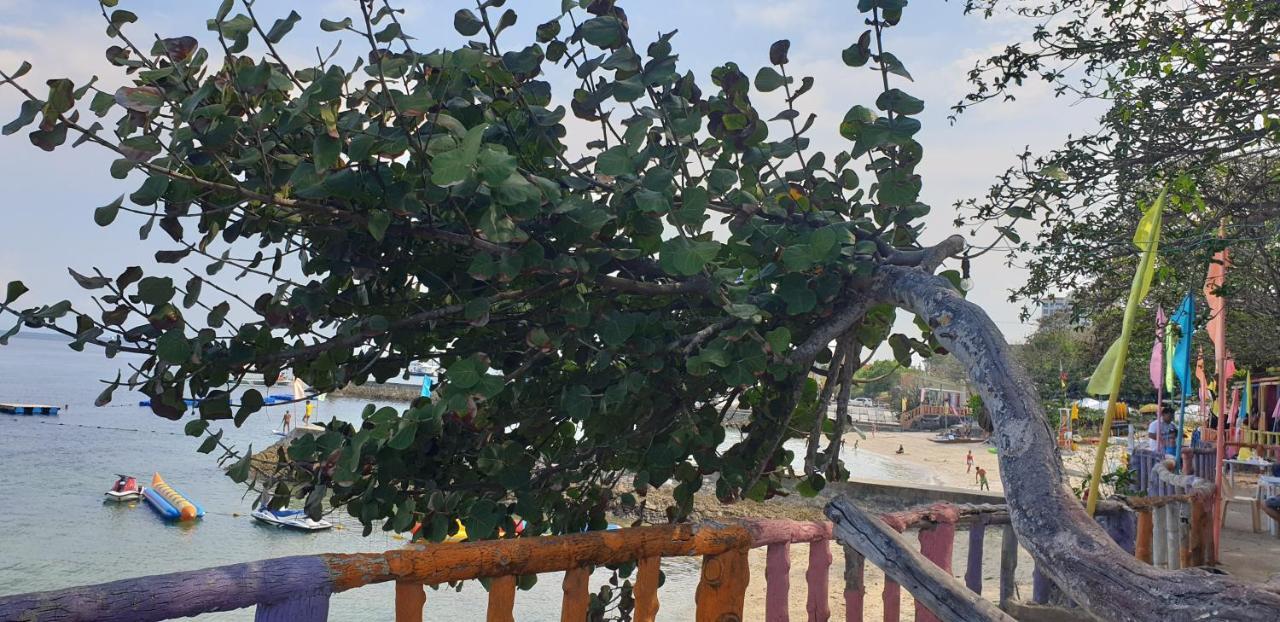 Mactan Newtown With Garden And Ocean View 8newtown Blvd