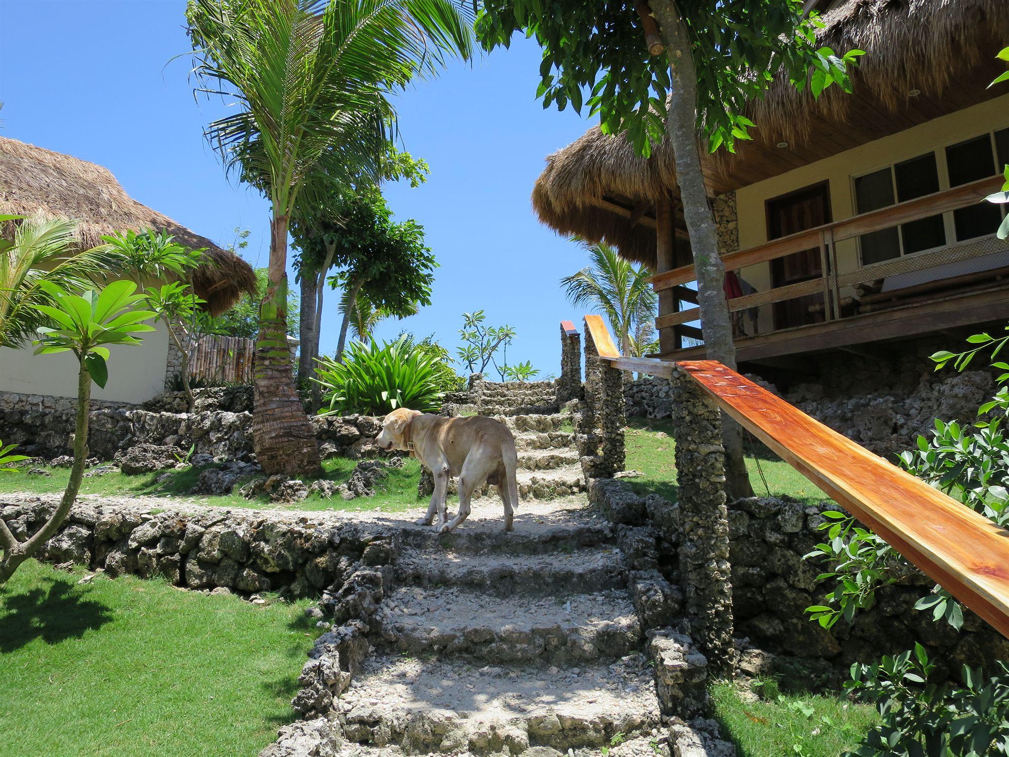 Resort Tepanee Logon