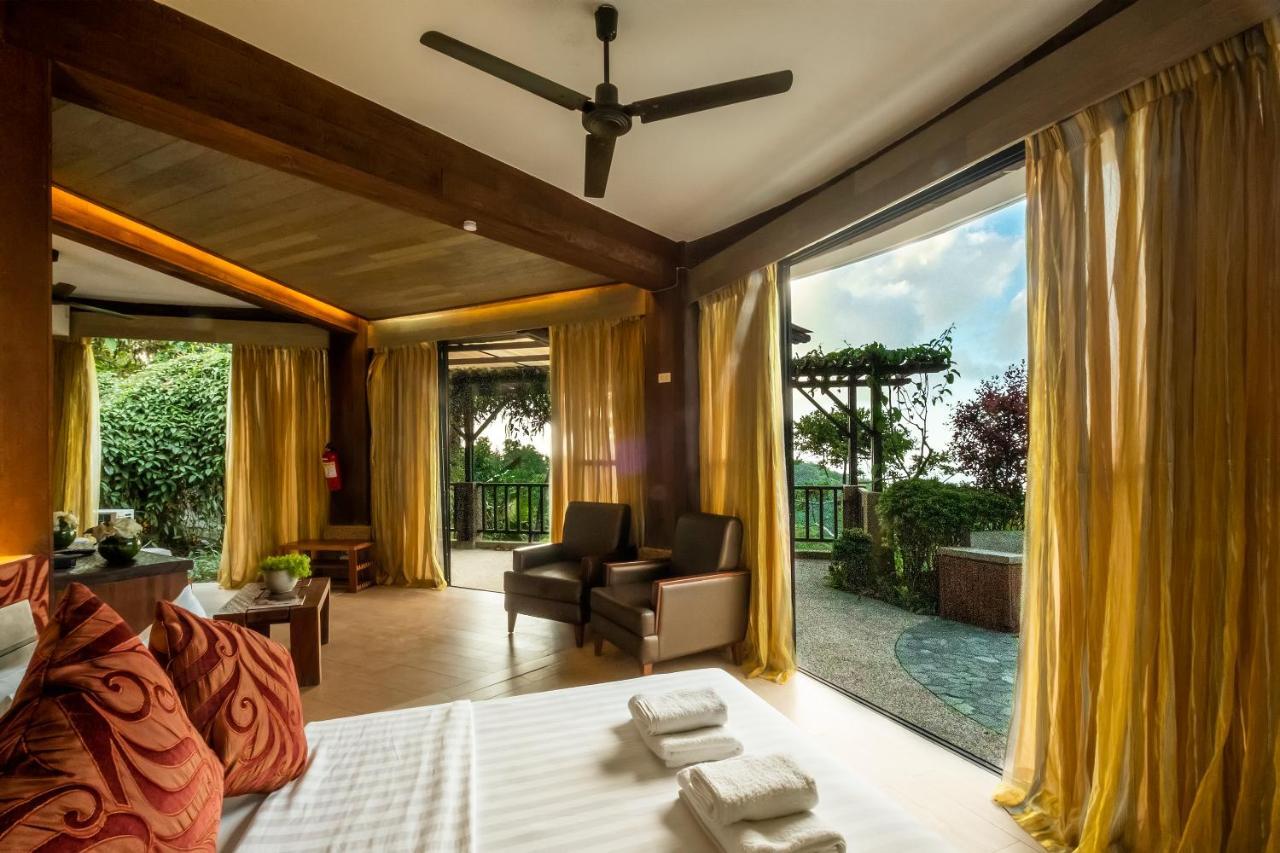 West 35 Eco Mountain Balamban