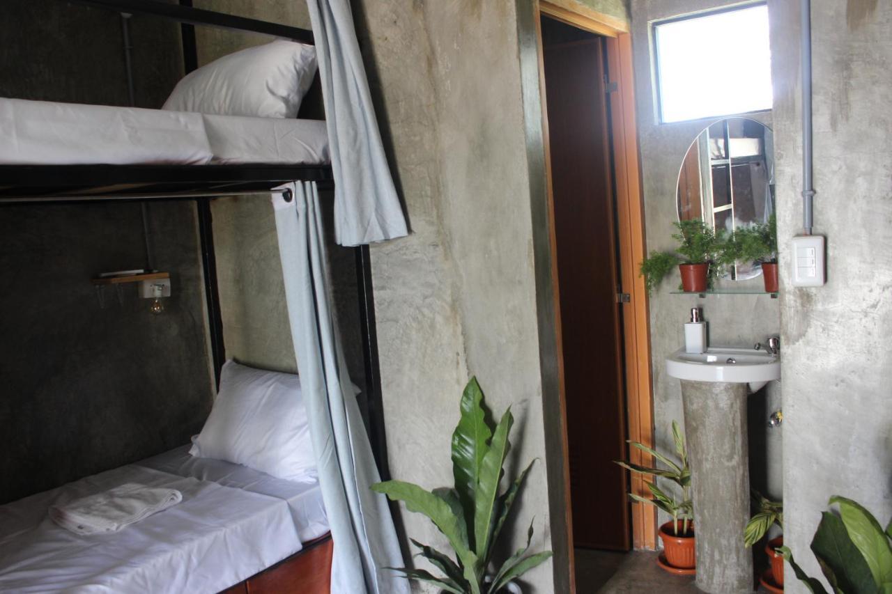 Hangover Hostel *