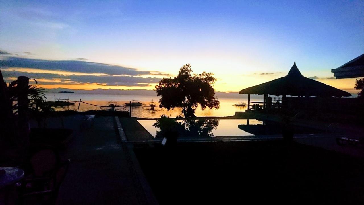 Hotel Cebu Seaview Dive