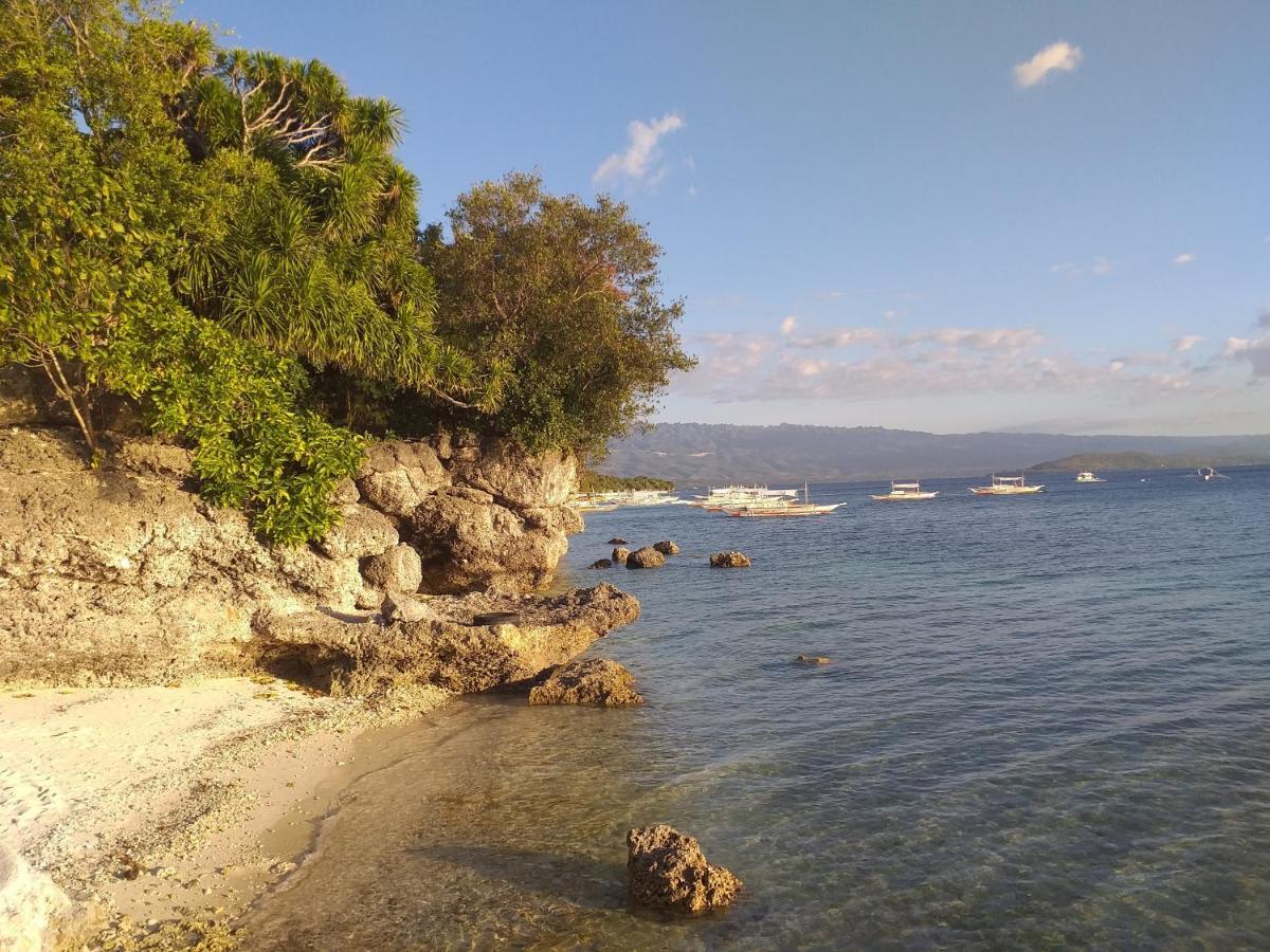 Cebu Seaview Dive *