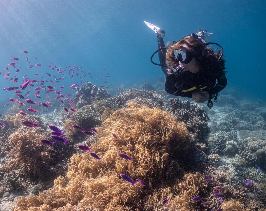 Emoha Dive 2* Santander