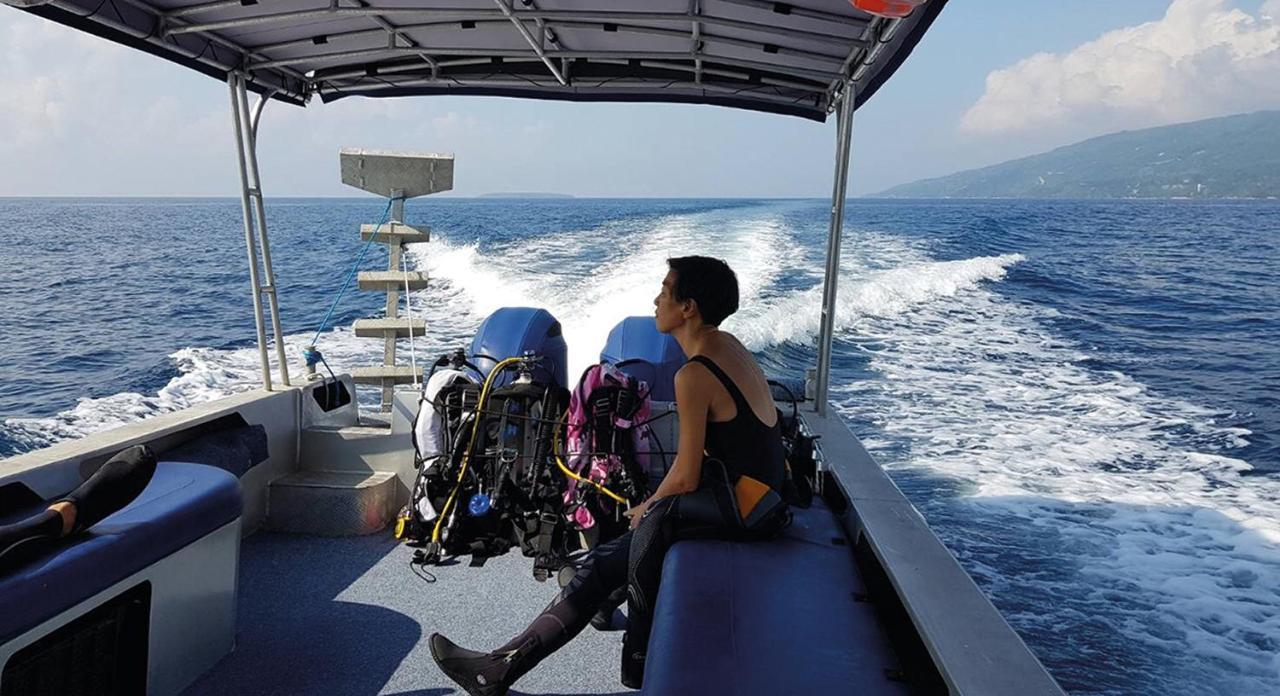 Emoha Dive Santander