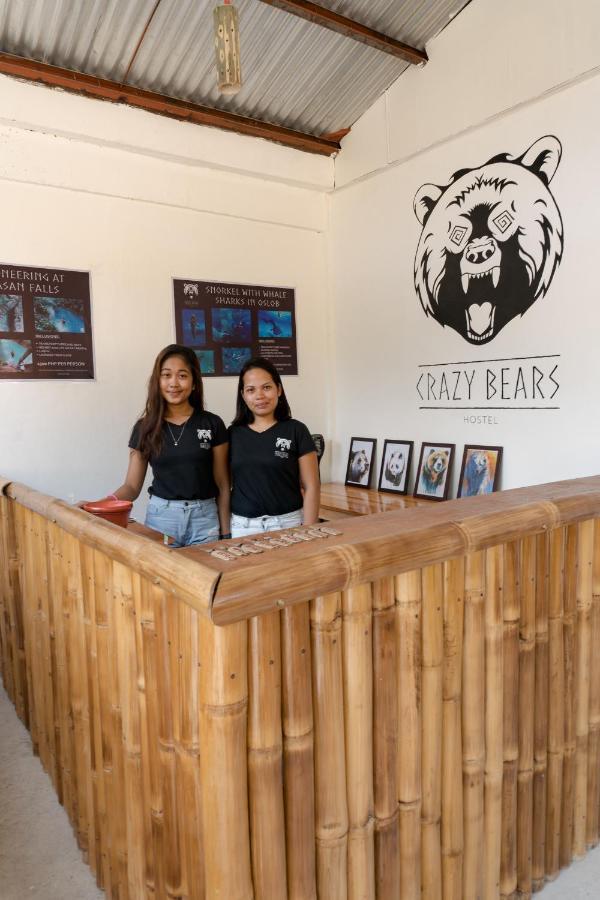 Hostel Crazy Bears *