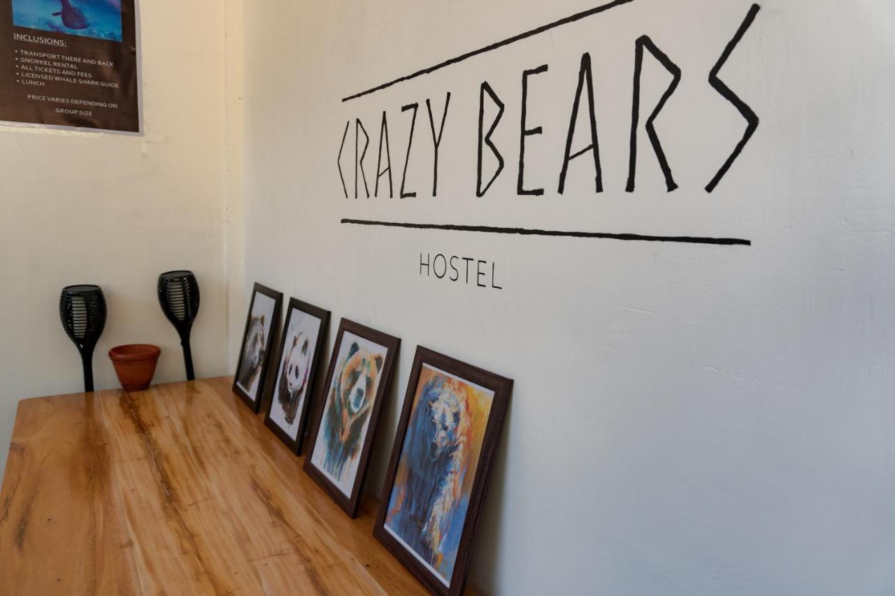 Crazy Bears Hostel Moalboal