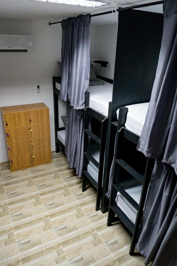 Crazy Bears Hostel