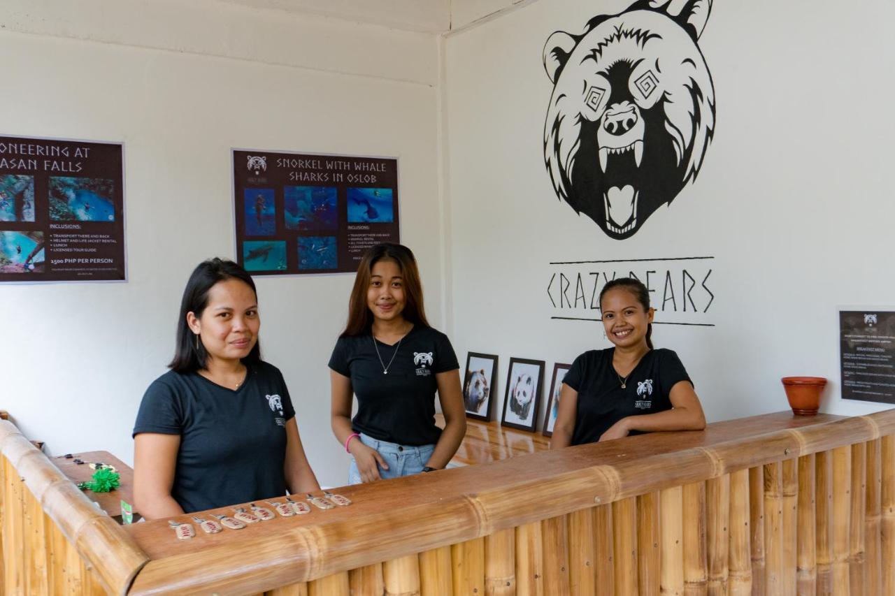 Hostel Crazy Bears *