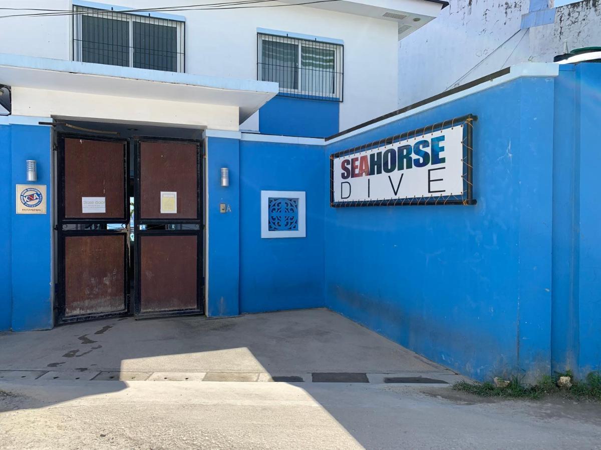 Hostel Mactan Seahorse Lapu-Lapu City