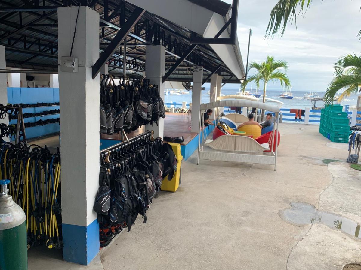 Mactan Seahorse Hostel