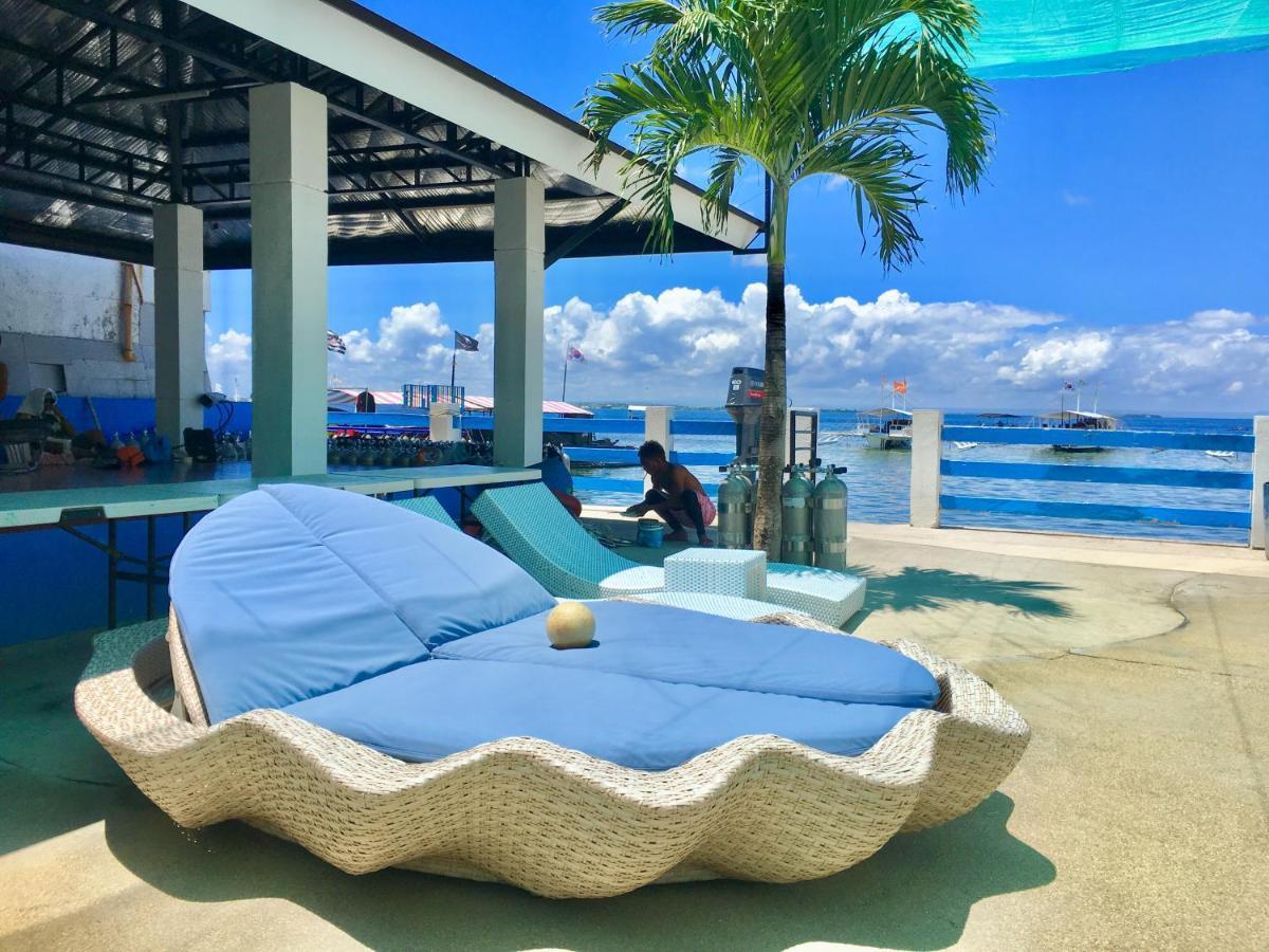 Mactan Seahorse Lapu-Lapu City