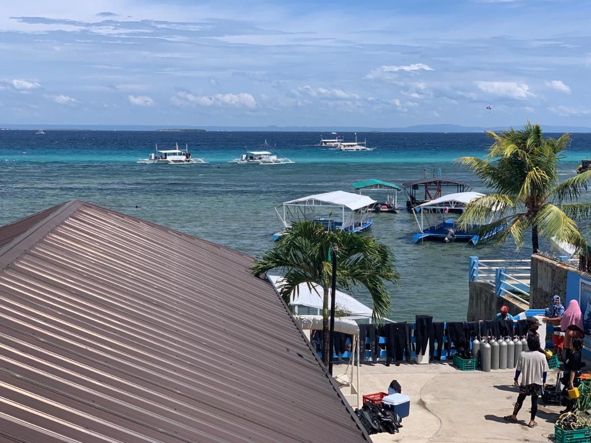 Mactan Seahorse *