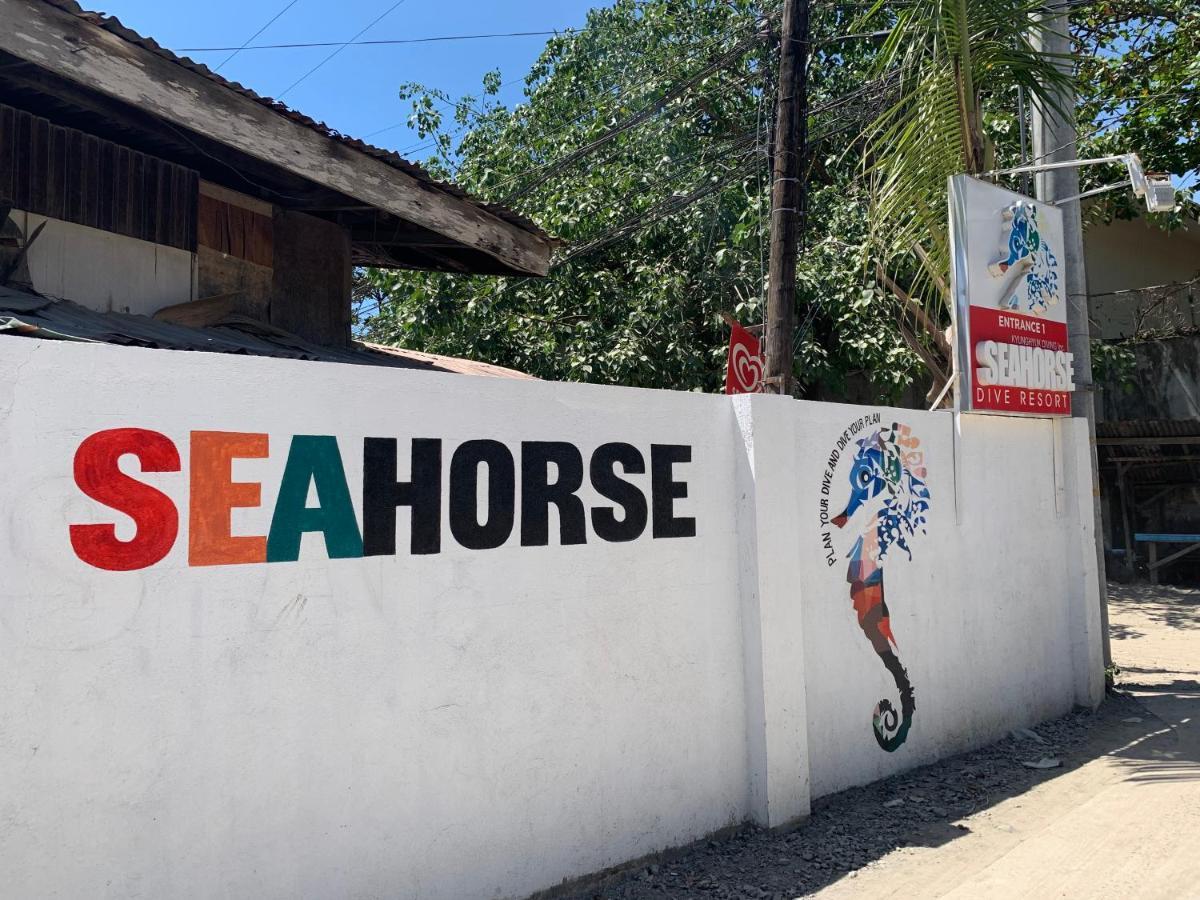 Mactan Seahorse Lapu-Lapu City