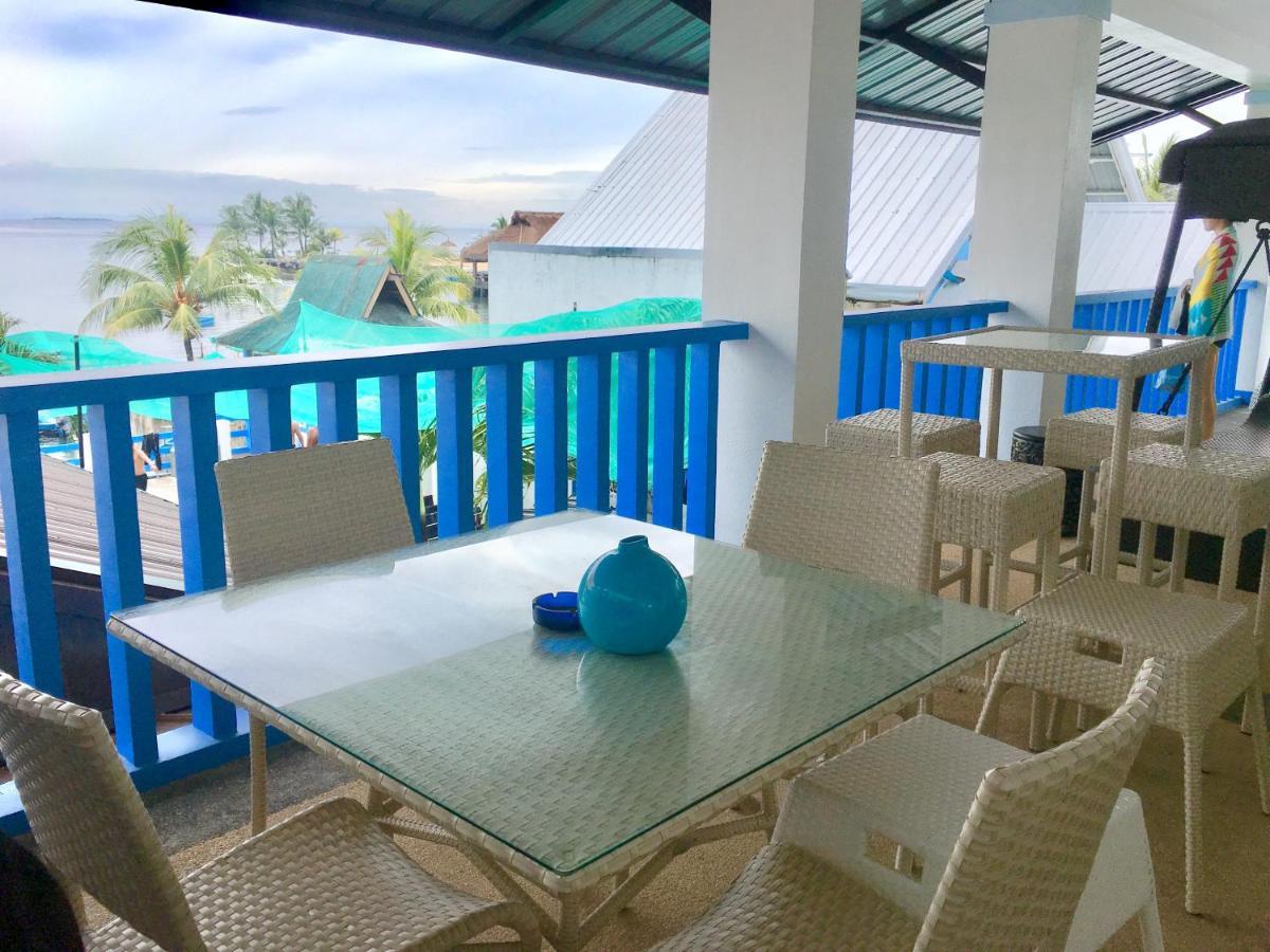 Mactan Seahorse