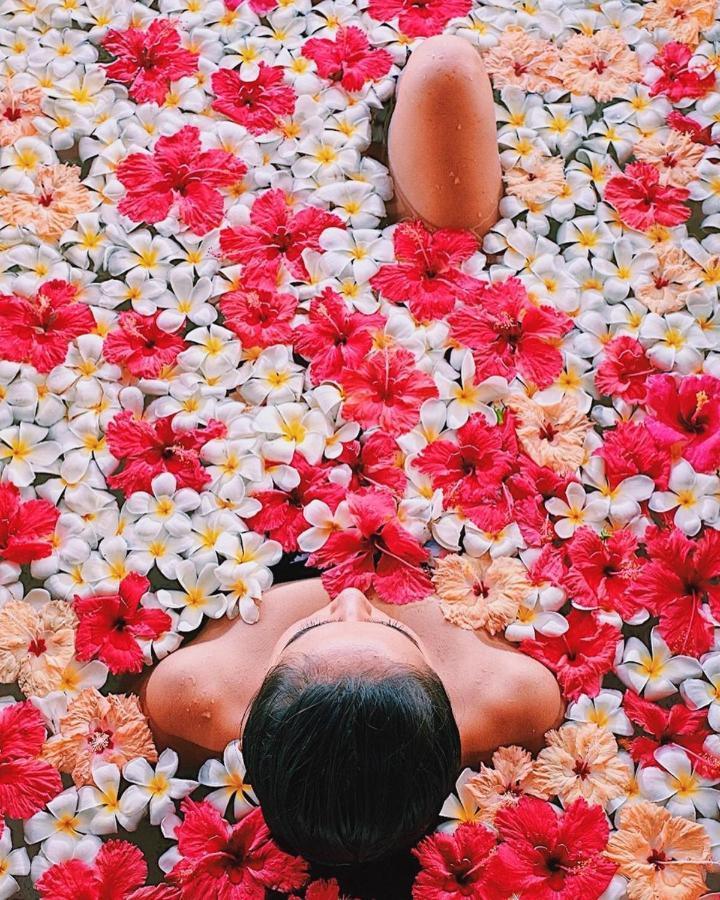 Island Wellness 5*